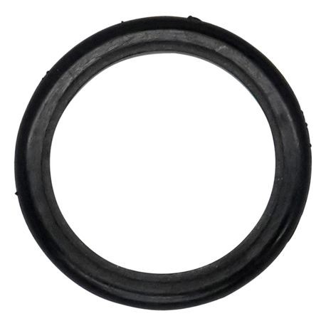 Wilden Glyd-Ring used in 1" Pumps, PTFE