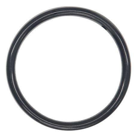 Wilden O-ring used in 0.5" Pumps, PTFE, Encapsulated FKM