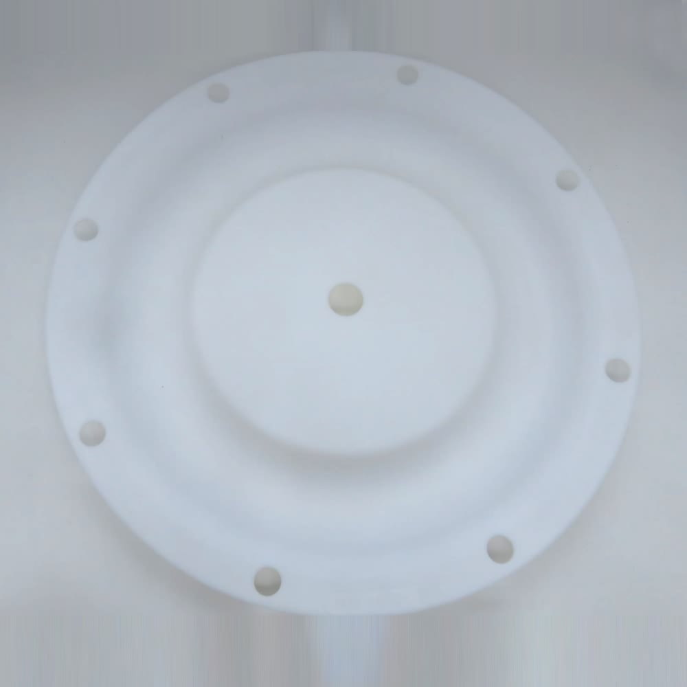 DIAPHRAGM (PTFE OVERLAY)