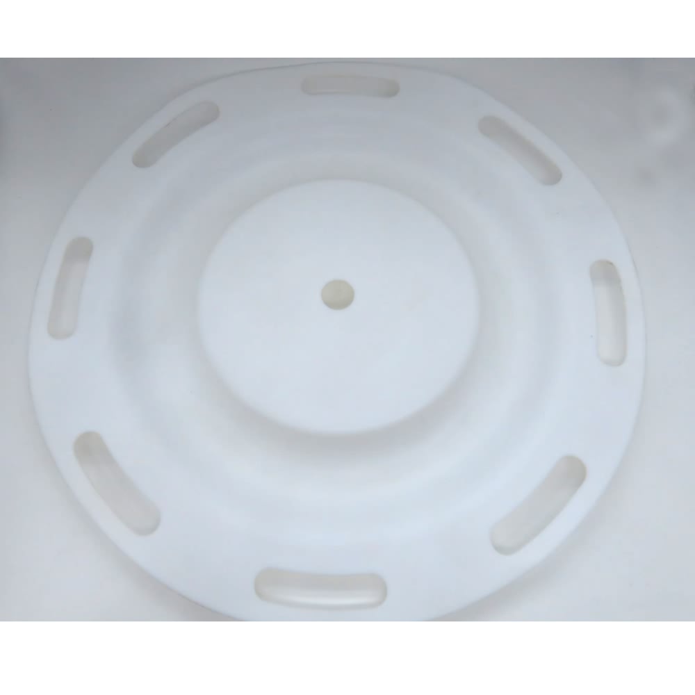 DIAPHRAGM, OVERLAY (PTFE)